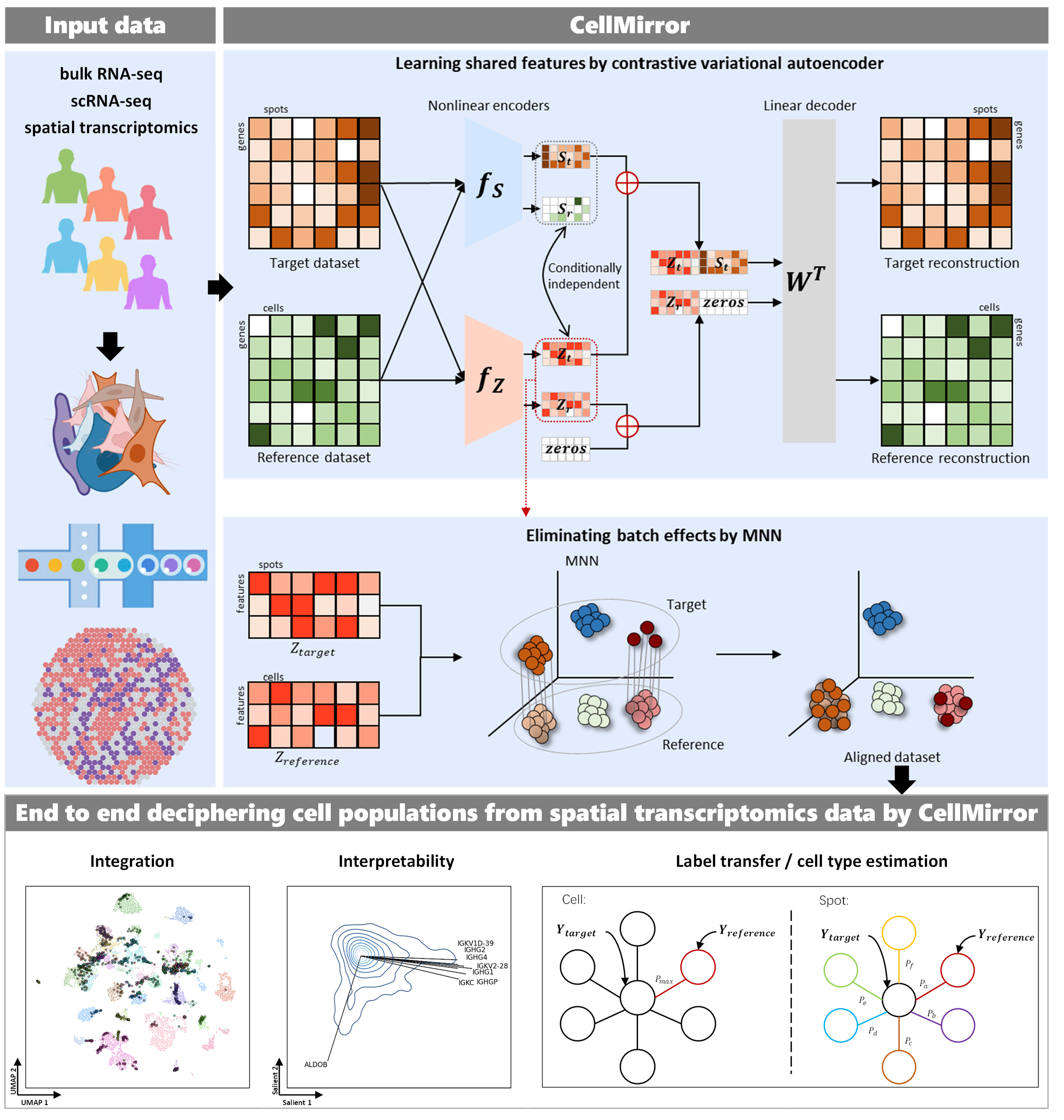 _images/Graphical_abstract.png